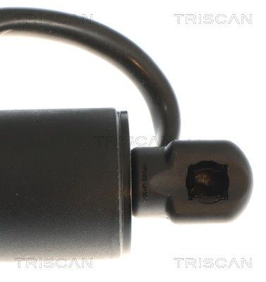 Gasfjeder, kuffert-/lastrum TRISCAN 8710 81209