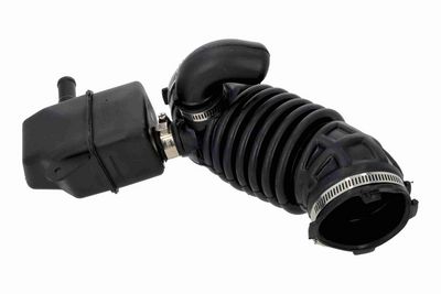 FURTUN ALIMENTARE AER ACKOJA A380593 3