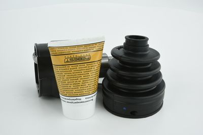 SET ARTICULATIE PLANETARA FEBEST 2011SEB 25