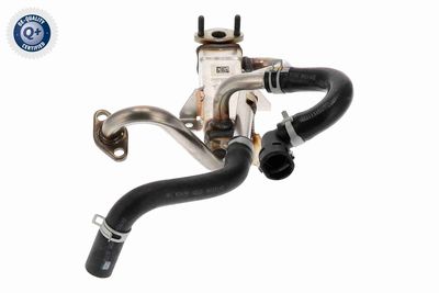 RADIATOR RECIRCULARE GAZE DE ESAPAMENT ACKOJA A52630040 5