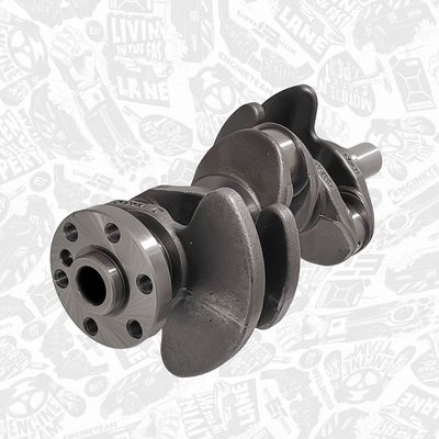 ARBORE COTIT ET ENGINETEAM HK0223 3