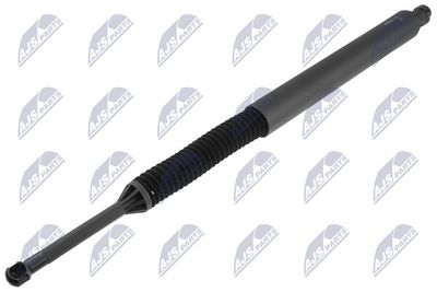 Dujinė spyruoklė, bagažinė