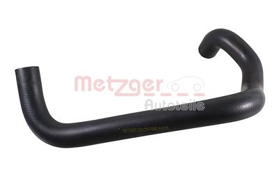 Radiator Hose 2421739