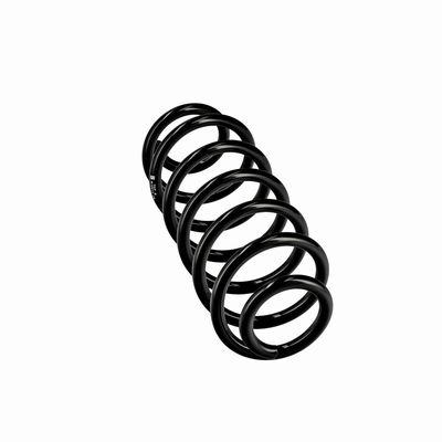 ARC SPIRAL EIBACH R10413 12