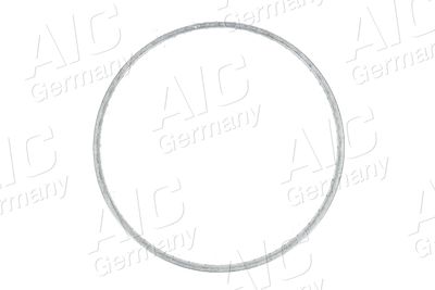 SENSORRING ABS AIC 54195 1