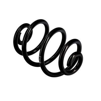 ARC SPIRAL EIBACH R10088 22