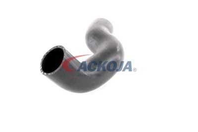 FURTUN EAR SUPRAALIMENTARE ACKOJA A380307 25