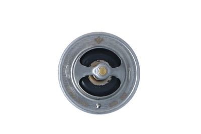TERMOSTAT LICHID RACIRE NRF 725167 32