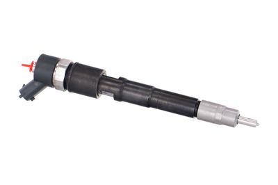 INJECTOR REMANTE 002003000031R 44