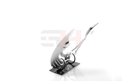PROTECTIE STROPIRE DISC FRANA GH GH481550H 40