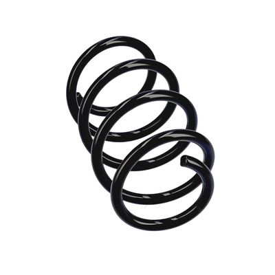 ARC SPIRAL EIBACH R17453 12
