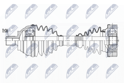 PLANETARA NTY NPWVW172