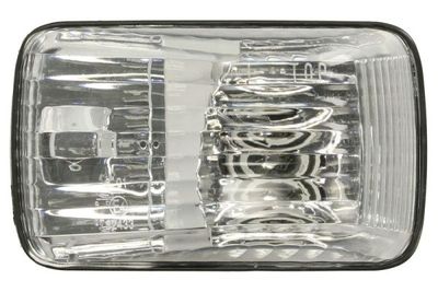 Controlelampje, zijkant Links (kleur van het glas: transparant, met lampvoet) past: ISUZU FORWARD F 01.06-