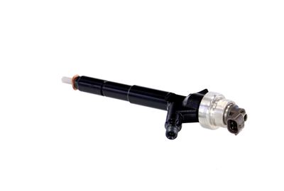 INJECTOR REMANTE 002003000192R 17