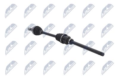 PLANETARA NTY NPWCT081 29