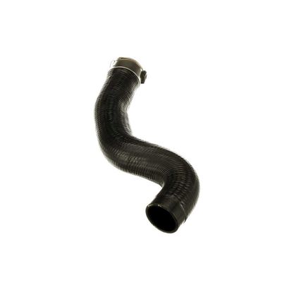 FURTUN EAR SUPRAALIMENTARE GATES 091624 42