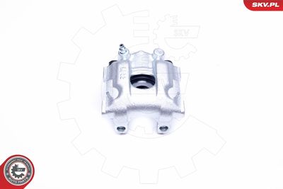 Brake Caliper 42SKV993