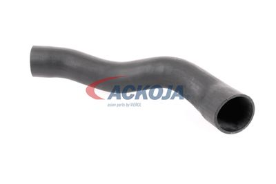FURTUN EAR SUPRAALIMENTARE ACKOJA A379600 14