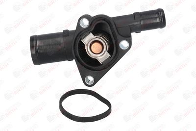 FLANSA LICHID RACIRE BIRTH 8696 8