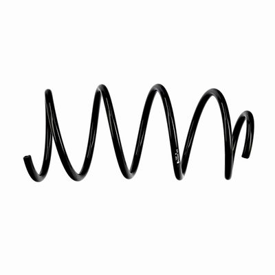 ARC SPIRAL EIBACH R10404 19