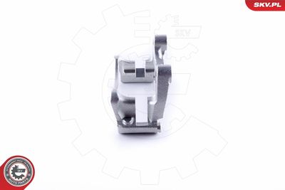 Bracket, brake caliper 50SKV730