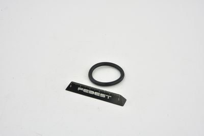 GARNITURA FLANSA LICHID RACIRE FEBEST TTTRAFII 5