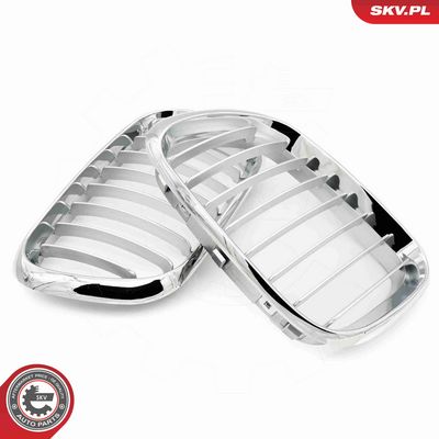 GRILA RADIATOR ESEN SKV 66SKV272 4