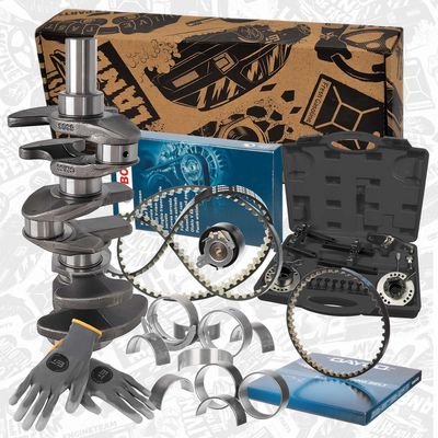 SET DE REPARAțIE ARBORE COTIT