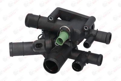 FLANSA LICHID RACIRE BIRTH 80445 2