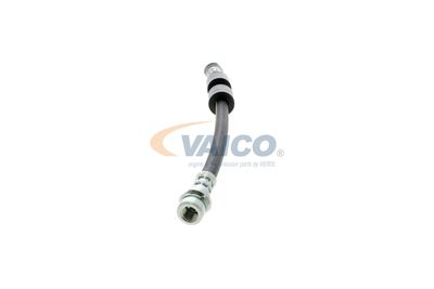 FURTUN FRANA VAICO V251328 23