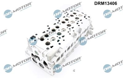 CHIULASA Dr.Motor Automotive DRM13406 2