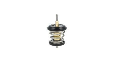 TERMOSTAT LICHID RACIRE NRF 725250 13