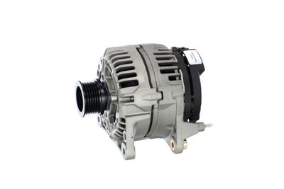 GENERATOR / ALTERNATOR REMANTE 011003000503R 11