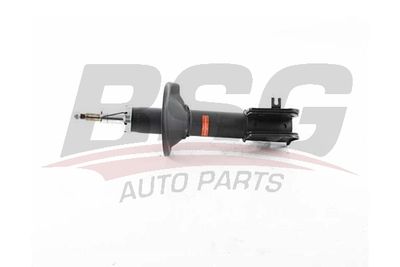 BSG BSG 15-300-046 Амортизаторы  для LAND ROVER FREELANDER I Soft Top (L314) 2.0 DI 4x4