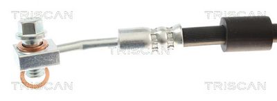 FURTUN FRANA TRISCAN 8150162015 1