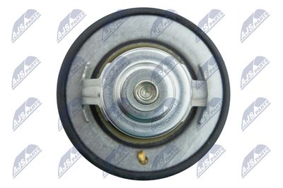 TERMOSTAT LICHID RACIRE NTY CTMTY004 4