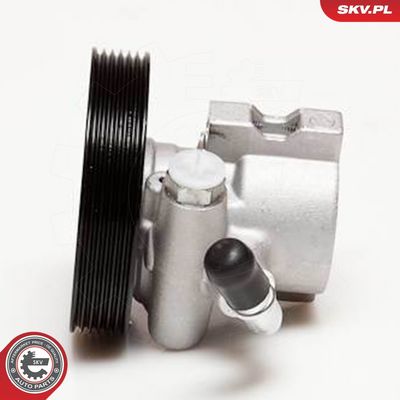 Hydraulikpumpe, Lenkung