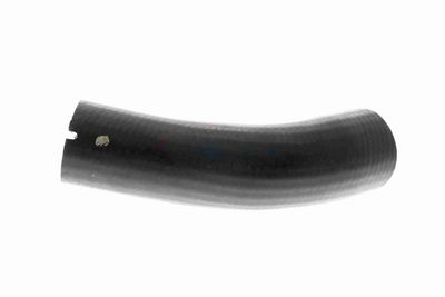 FURTUN EAR SUPRAALIMENTARE VAICO V240715 5