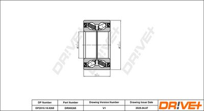 RADLAGERSATZ DR!VE+ DP2010100265 1