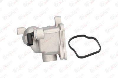 FLANSA LICHID RACIRE BIRTH 80192 4