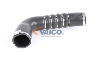 FURTUN EAR SUPRAALIMENTARE VAICO V103794 58