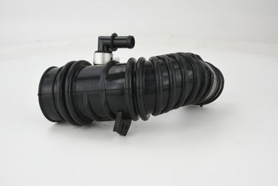 FURTUN ALIMENTARE AER FEBEST 02450001 24