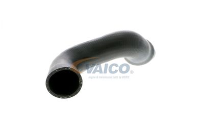 FURTUN EAR SUPRAALIMENTARE VAICO V103828 53