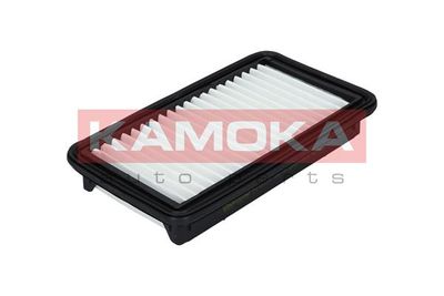 Air Filter F212901