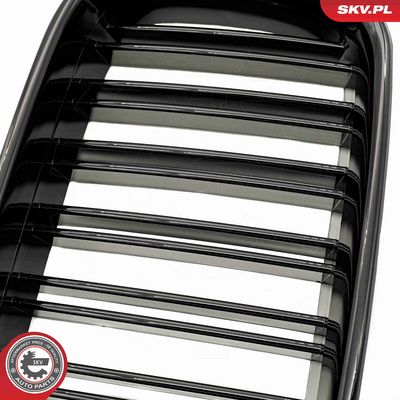 GRILA RADIATOR ESEN SKV 66SKV047 7