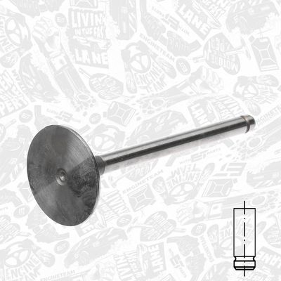 SUPAPA ADMISIE ET ENGINETEAM VI0081 1