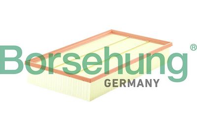 Borsehung Oro filtras