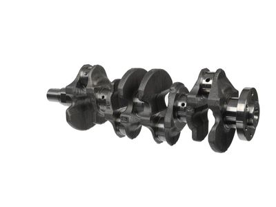 ARBORE COTIT ET ENGINETEAM HK0237 19