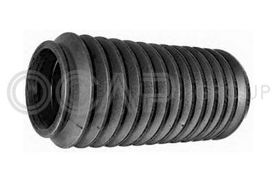 BURDUF CAUCIUC DIRECTIE