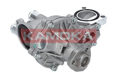 Water Pump, engine cooling T0043